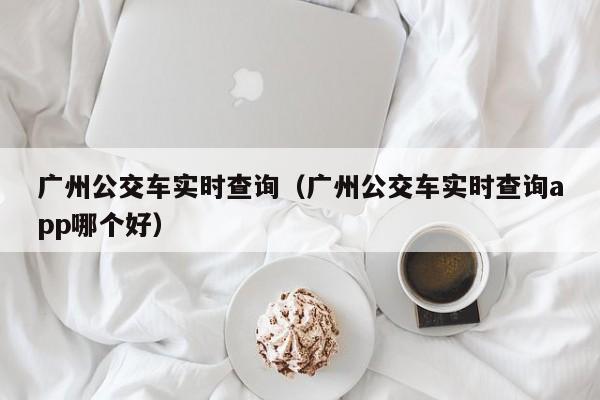 广州公交车实时查询（广州公交车实时查询app哪个好）