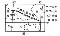 2024年12月10日 第3页