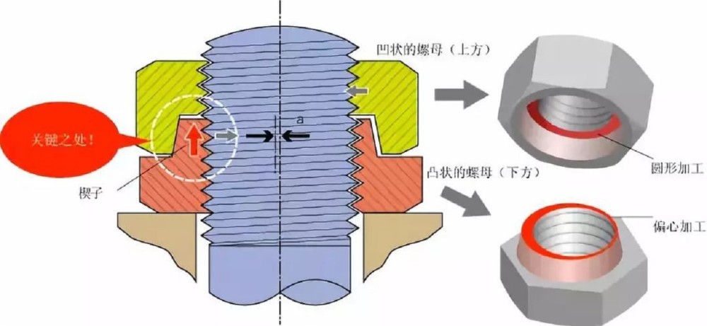 螺栓化学，探究其重要性及应用领域,整体规划执行讲解_复古款25.57.67