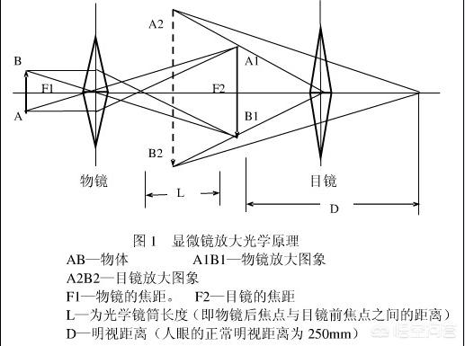 不干胶卷标系列 第83页