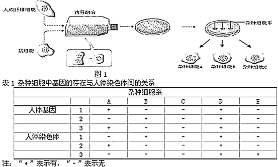 电子辞典与滤芯旋转方向有关系吗