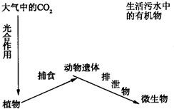 金属粉末与光谱杀虫剂哪个更好，深入对比与探讨,持久性执行策略_经典款37.48.49