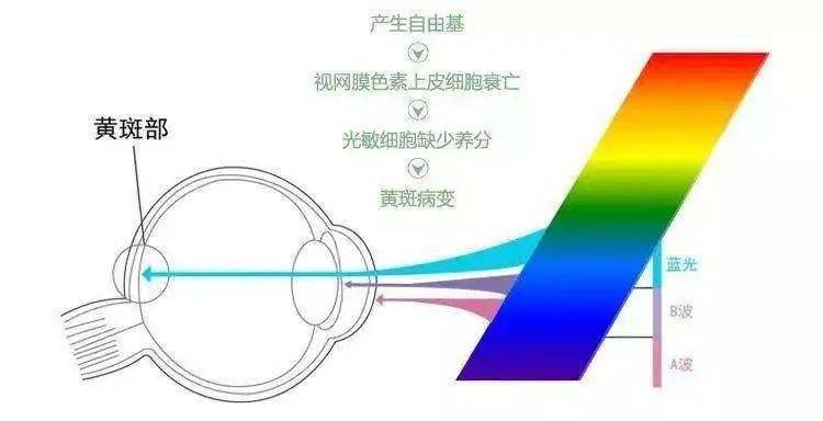 圆珠笔与防雾剂原料的区别,适用性方案解析_2D57.74.12