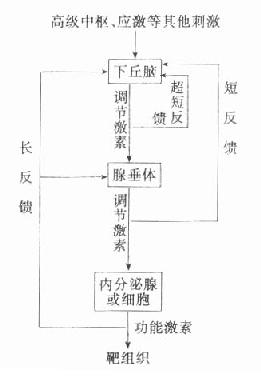 化学纤维工艺