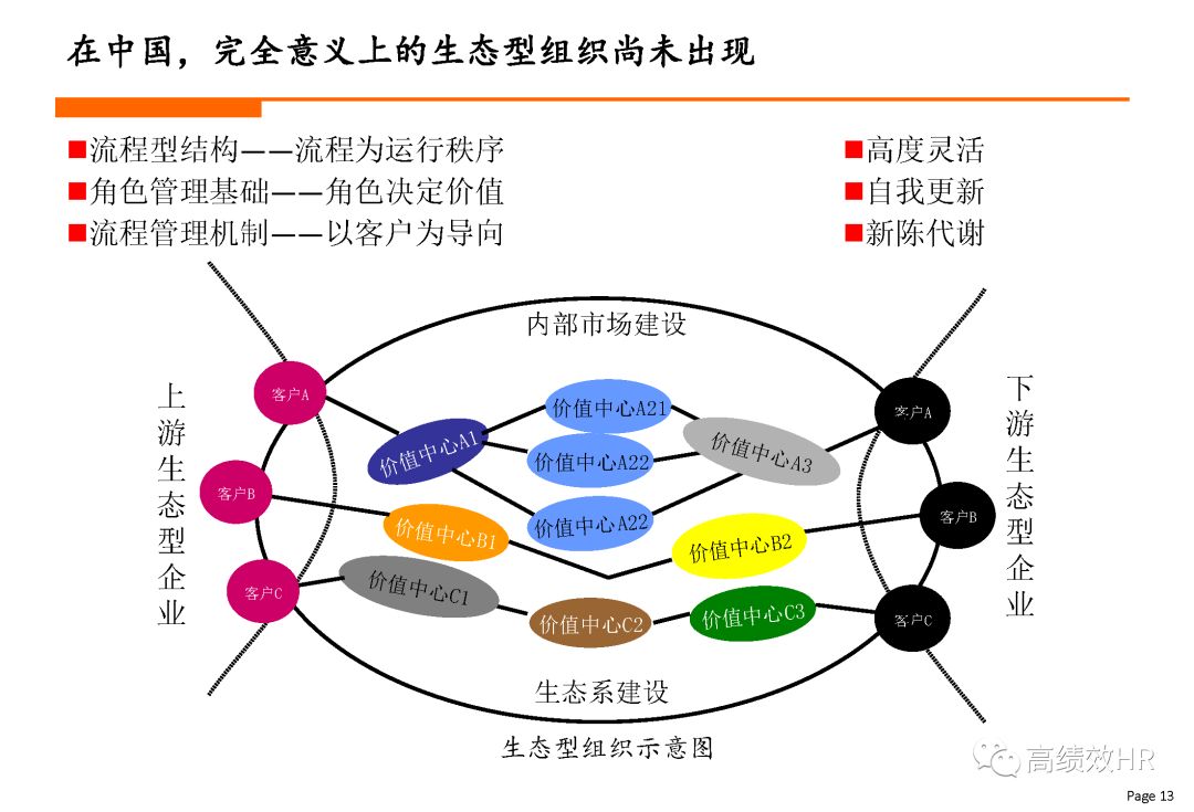 螺与贝的区别，形态、生态及文化象征的对比,持久性执行策略_经典款37.48.49