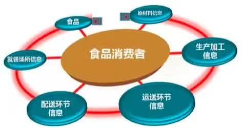 硅橡胶电热片，高效、安全的电热解决方案,实地执行数据分析_粉丝款81.30.73