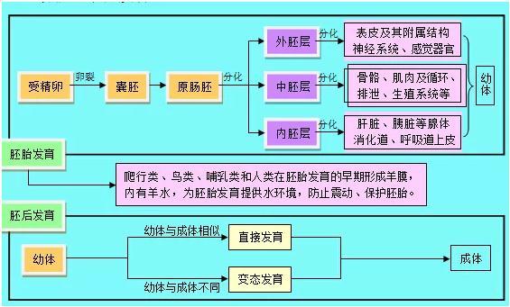 游戏设备属于什么分类