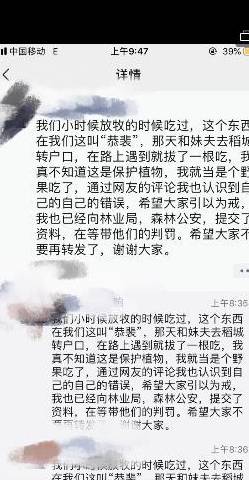 玉观音深度解读，命运、爱情与成长的故事,科学分析解析说明_专业版97.26.92