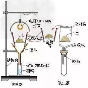 液位计的浮子朝向解析，重的一端朝上还是朝下？,实时解答解析说明_Notebook65.47.12