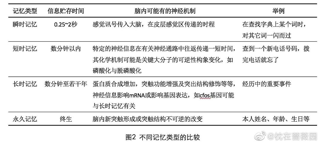 钼粉是一种什么物质？其特性和应用,科学分析解析说明_专业版97.26.92