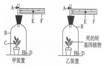 墨水加入水中是否构成溶液的讨论,深入解析设计数据_T16.15.70