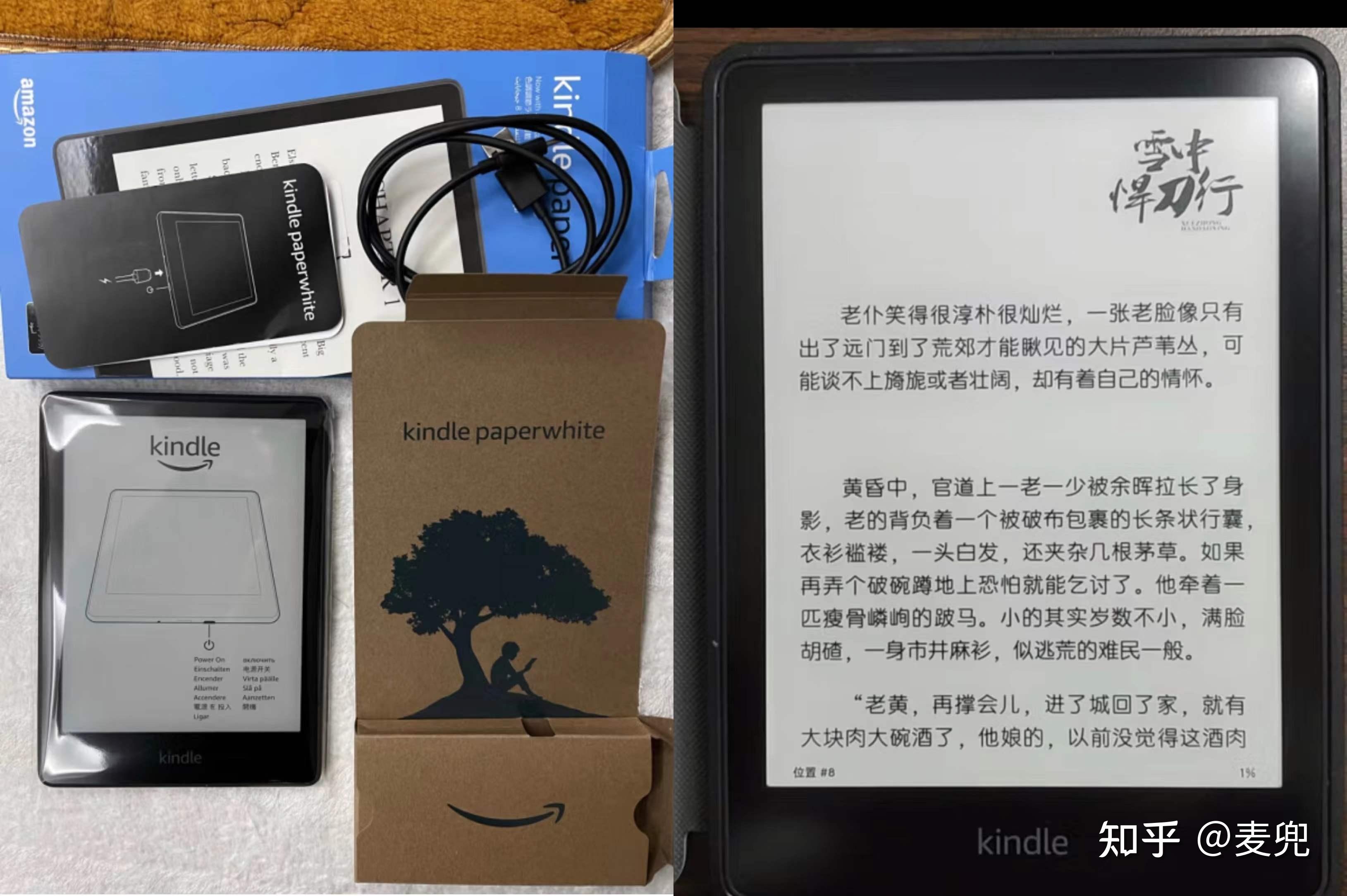 锆石品牌排行榜前十名与细节执行方案的调整——以Kindle72版本为例,整体规划执行讲解_复古款25.57.67