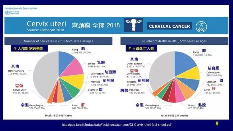 日用包装与人工智能专业专科好就业吗女生