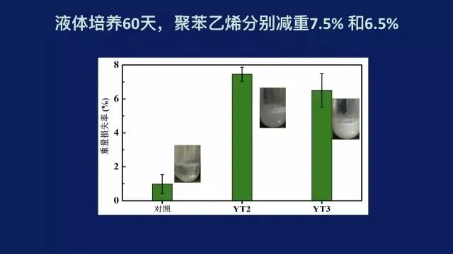 踢脚板用途与快捷方案问题解决——探索Tizen 80.74.18的新领域,社会责任方案执行_挑战款38.55