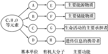 手套与花卉装饰与应用的关系