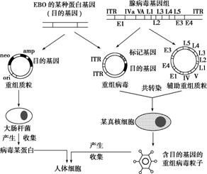 礼品工艺品其它与焊帽组装有关系吗