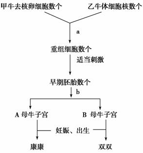 打水光针一次一般多少钱