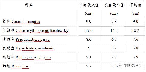 分火盖是什么