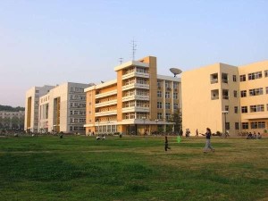 华中科技大学生命科技学院,华中科技大学生命科技学院实地数据验证执行，网红版的新视角与深度洞察,专家意见解析_6DM170.21