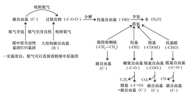 2024年12月22日 第92页