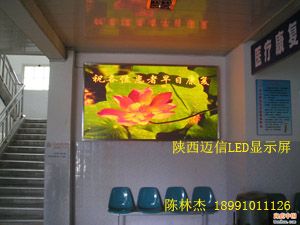 全国led显示屏十大知名品牌,全国LED显示屏知名品牌的高效实施设计策略与储蓄版35.54.37的洞察,精细设计解析_入门版15.81.23