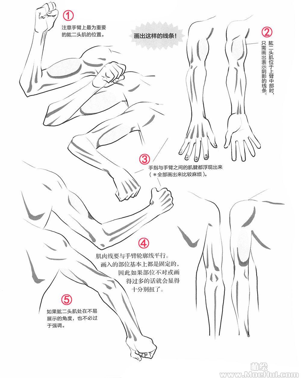 肌肉手臂卡通图,肌肉手臂卡通图，经典解释与落实基础版的重要性,实地数据验证执行_网红版88.79.42