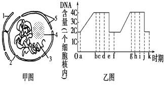 圆度仪有哪两种结构形式