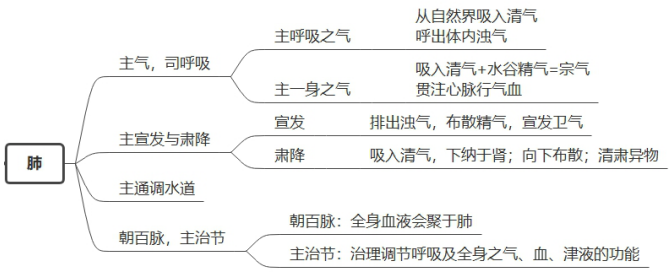 橡胶农作物,橡胶农作物功能性操作方案制定与执行，一个全面的探讨,收益成语分析落实_潮流版3.739