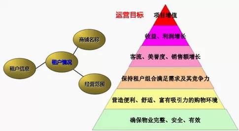 生命动力官方网址,探索生命动力，细节调整与执行方案的深度解析,实地验证方案策略_4DM16.10.81