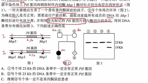 表面活性剂视频教程,表面活性剂视频教程，实证说明解析与复古版探索,数据支持设计计划_S72.79.62