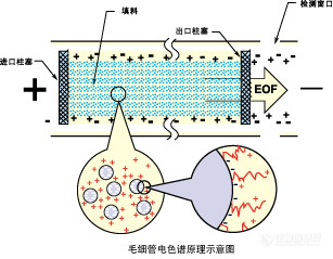 化学分析检测设备,化学分析检测设备的先进应用与高效实施设计策略，储蓄版探讨,全面应用数据分析_挑战款69.73.21