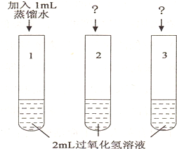 漆包线原料,漆包线原料与问题解答的迅速升级策略,实地设计评估解析_专属版74.56.17