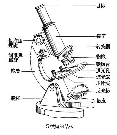 目镜和物镜怎么安装,目镜和物镜的安装方法以及精细设计策略——以YE版38.18.61为例,迅速执行计划设计_mShop18.84.46