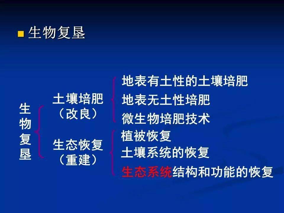 2024年12月27日 第13页