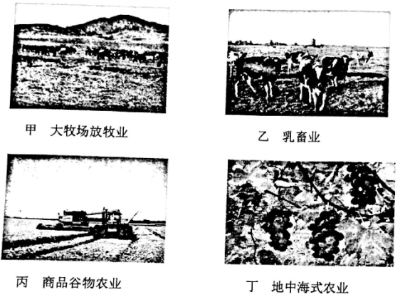 长石类型,关于长石类型及其迅速处理解答问题的探讨——C版27.663,可靠操作策略方案_Max31.44.82