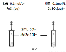 盐雾试验试剂,盐雾试验试剂与战略方案优化，特供款的探索与实践,全面分析说明_Linux51.25.11