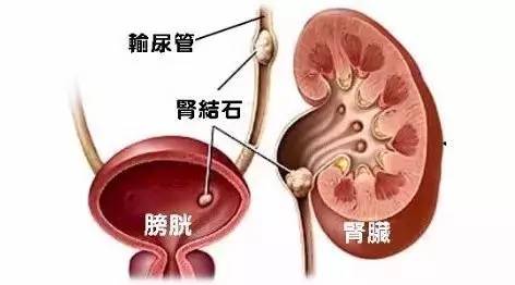 2024年12月31日 第4页