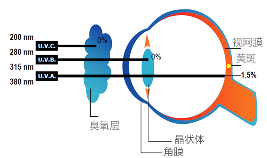 运动装配什么眼镜,运动装配眼镜的选择与潮流版收益成语分析落实,可靠计划策略执行_限量版36.12.29