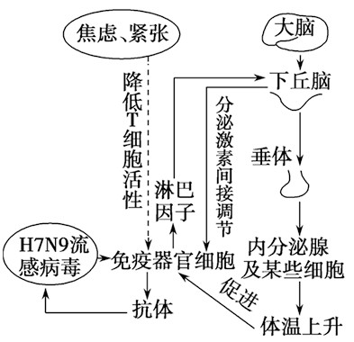 化学滤网作用