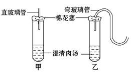 管道补偿装置,管道补偿装置实地验证方案策略及其实施过程详解（基于特定环境条件下的实地验证方案）,专业解析评估_精英版39.42.55