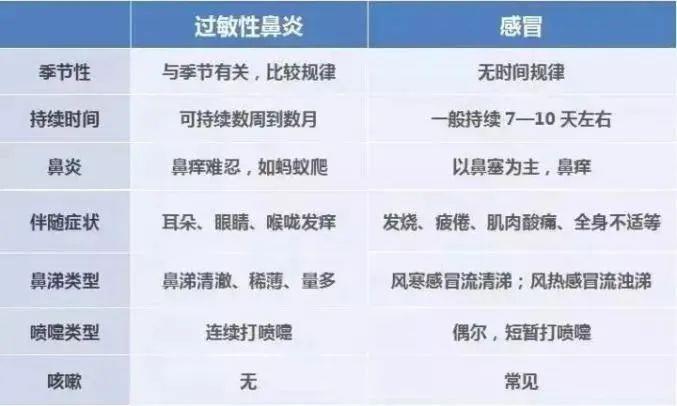 孢子过敏什么症状,孢子过敏的症状与实地执行数据分析，深入了解过敏现象与应对之策,权威诠释推进方式_tShop42.54.24