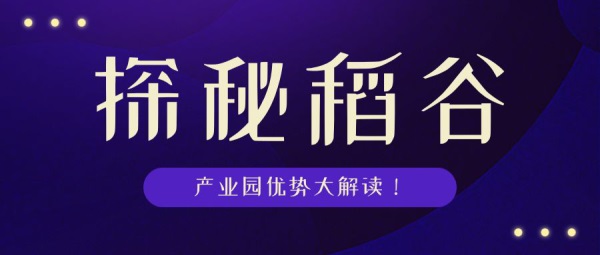 滔滔顾问是卖什么的,滔滔顾问，探索未知领域的引领者与完善机制评估专家,全面应用分析数据_The37.83.49