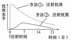 今晚一定出准确生肖图,今晚一定出准确生肖图，适用性方案解析与预测展望,专家意见解析_6DM170.21