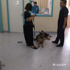 涉事医院回应阻拦导盲犬陪同就医