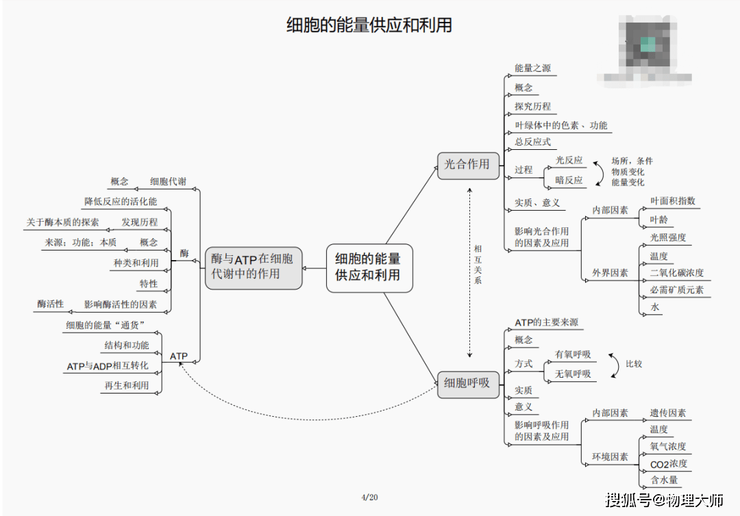 黄大仙三肖三码必中一期