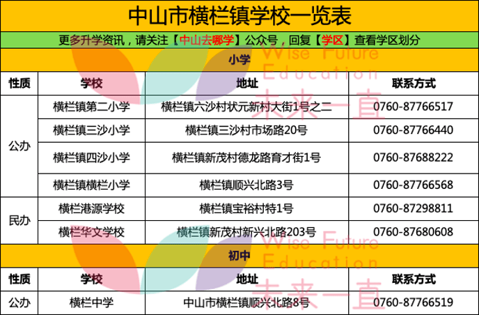 夜明珠预测一ymz01风险详解