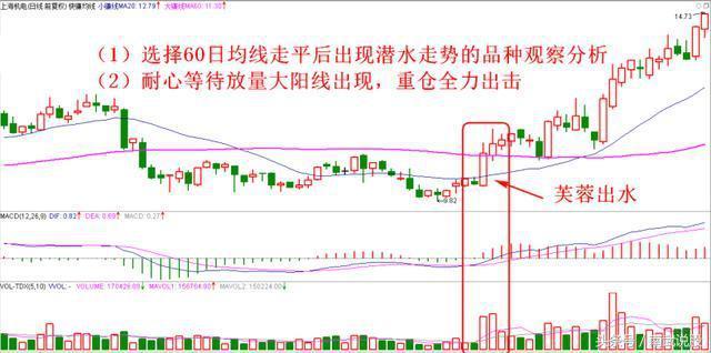 澳门出码综合走势图