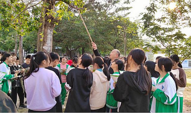 广东罗定发现植物界“活化石”松叶蕨