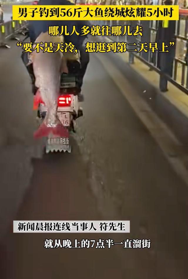 男子钓到56斤鳡鱼绕城5小时炫耀