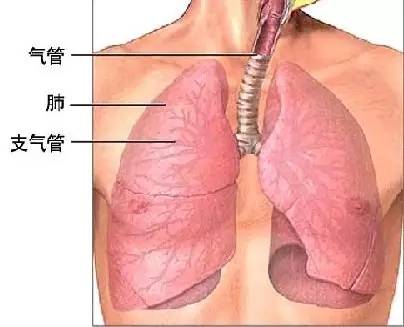 英呼吸道疾病患者激增